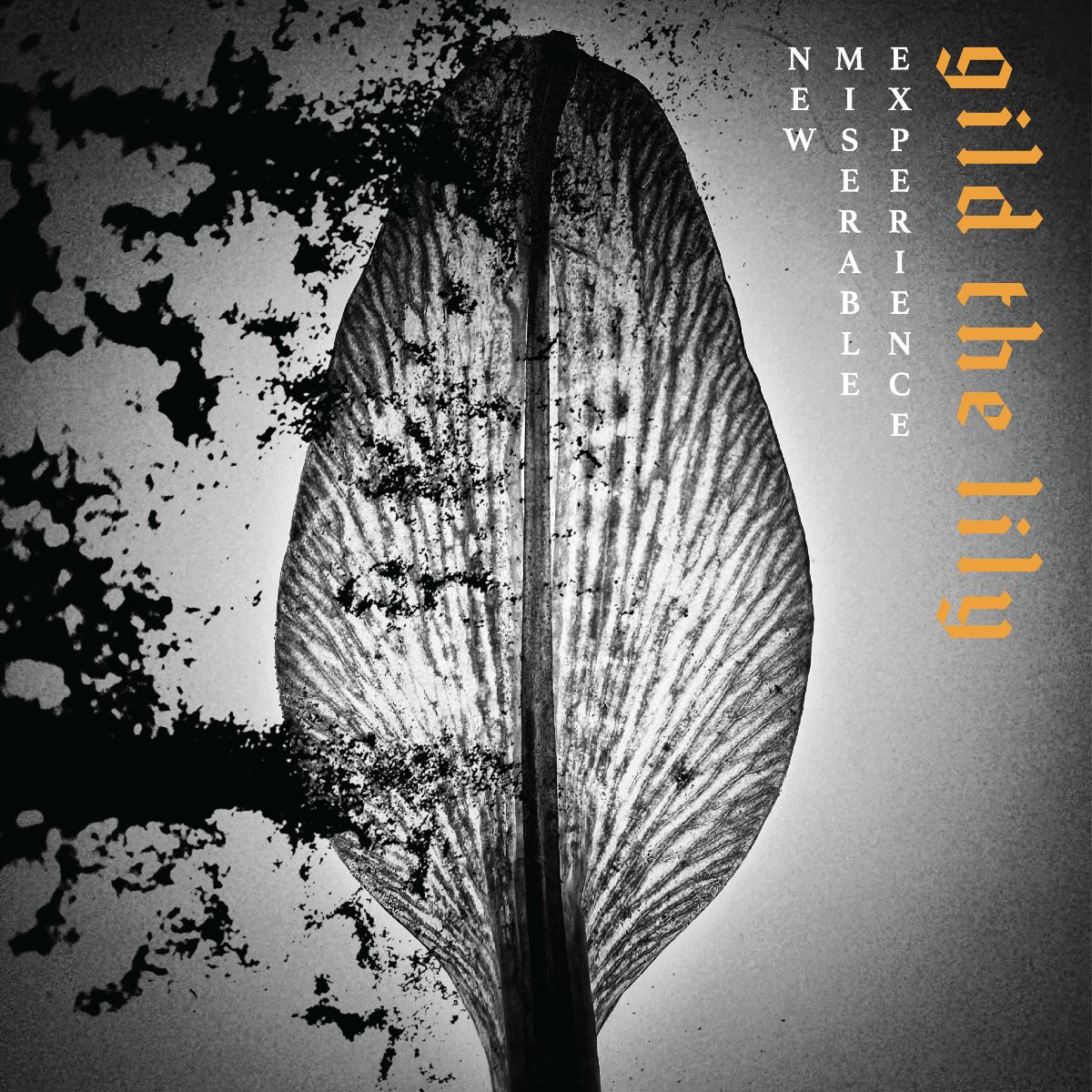 Gild The Lily - New Miserable Experience