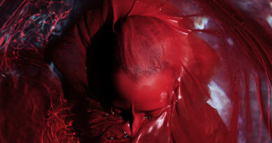 Not Here Not Gone - Blackwater Holylight