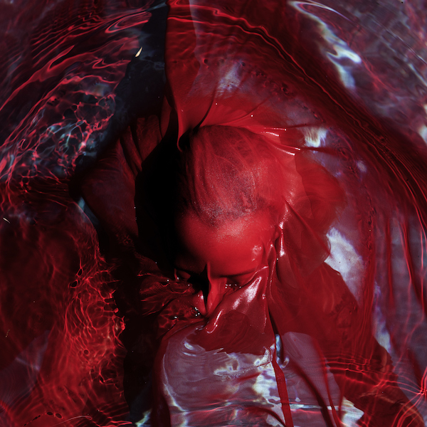 Not Here Not Gone - Blackwater Holylight