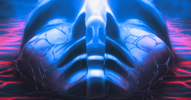 The New Flesh - Sylosis