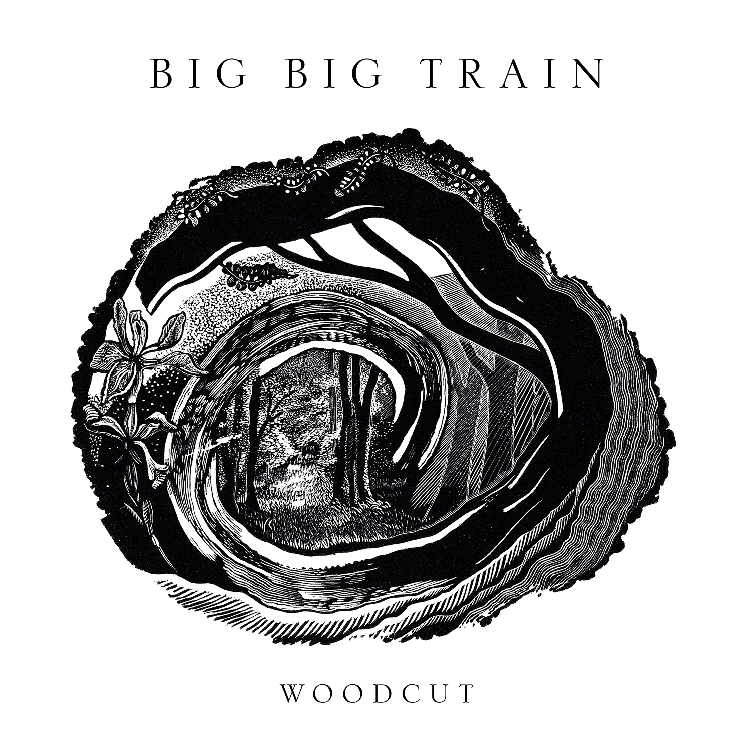 Woodcut - Big Big Train