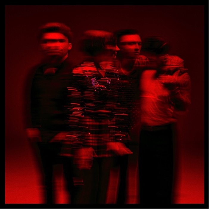 CO.WAR.DICE. - Marmozets