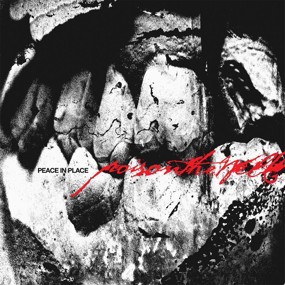 Peace In Place - Poison The Well