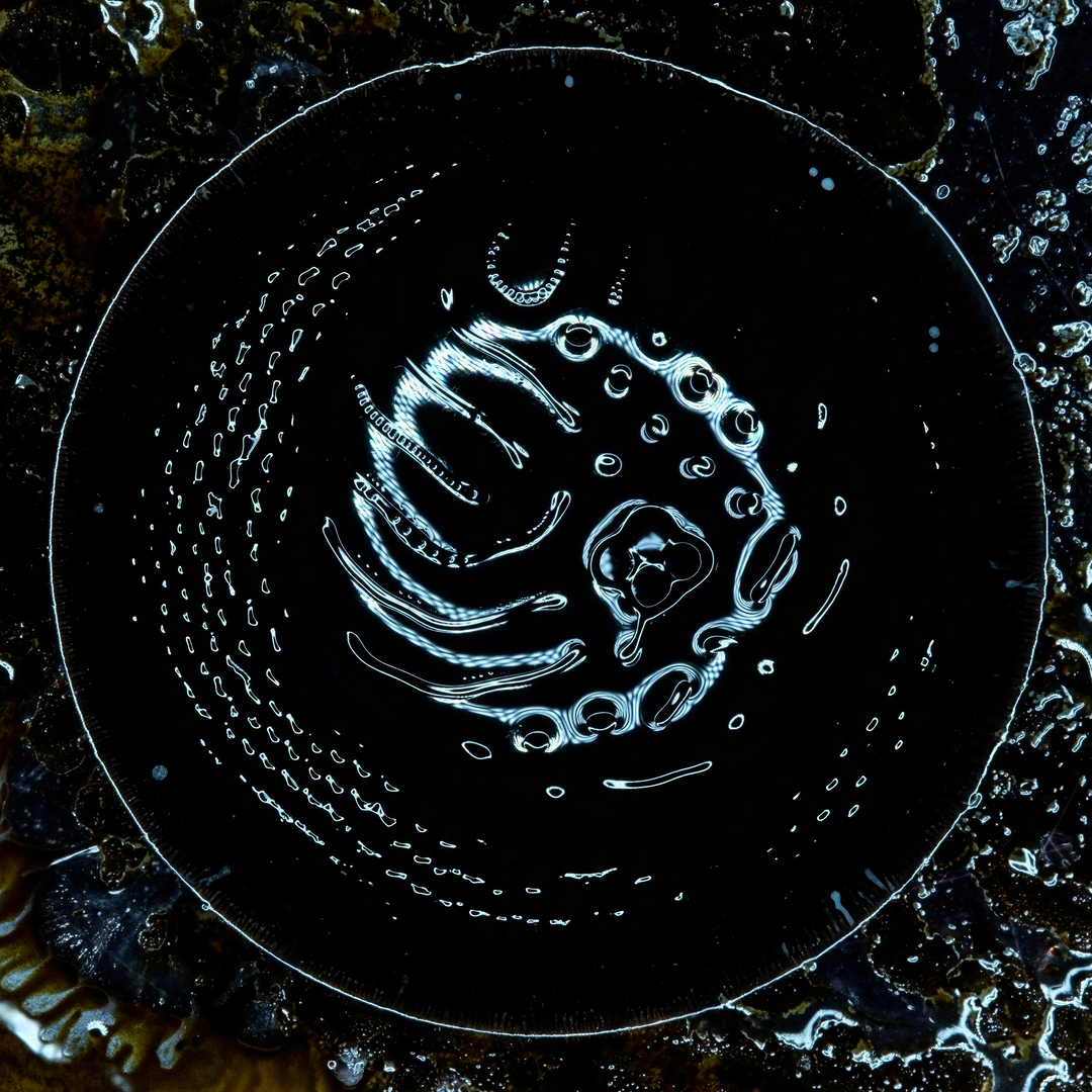 Space to Dive - Stonus