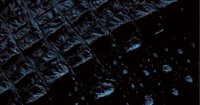 EP REVIEW: It Calls Me By Name – Wage War