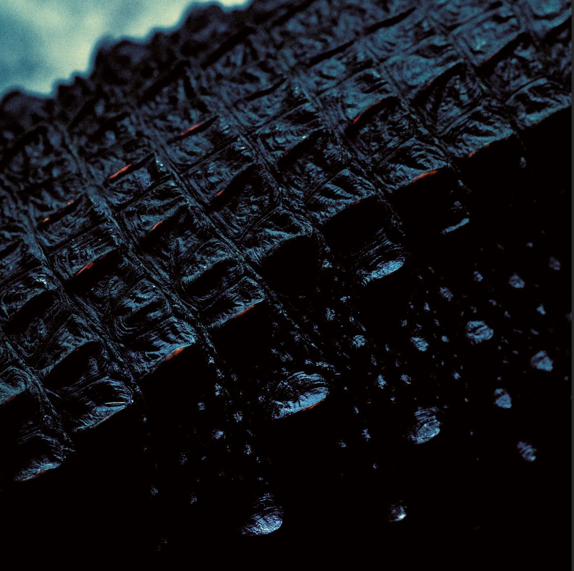 It Calls Me By Name - Wage War