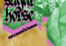 ALBUM REVIEW: Not A Sound In Heaven – Sugar Horse