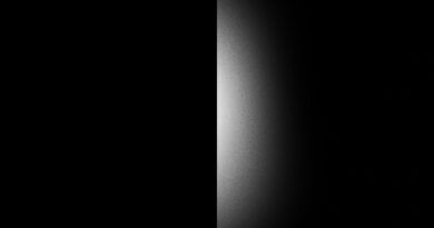 The Dark We Keep - Port Noir