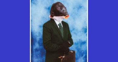 ALBUM REVIEW: cash rich – snake eyes ALBUM REVIEW: cash rich – snake eyes