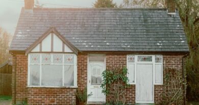 Every House We Built - Exploring Birdsong