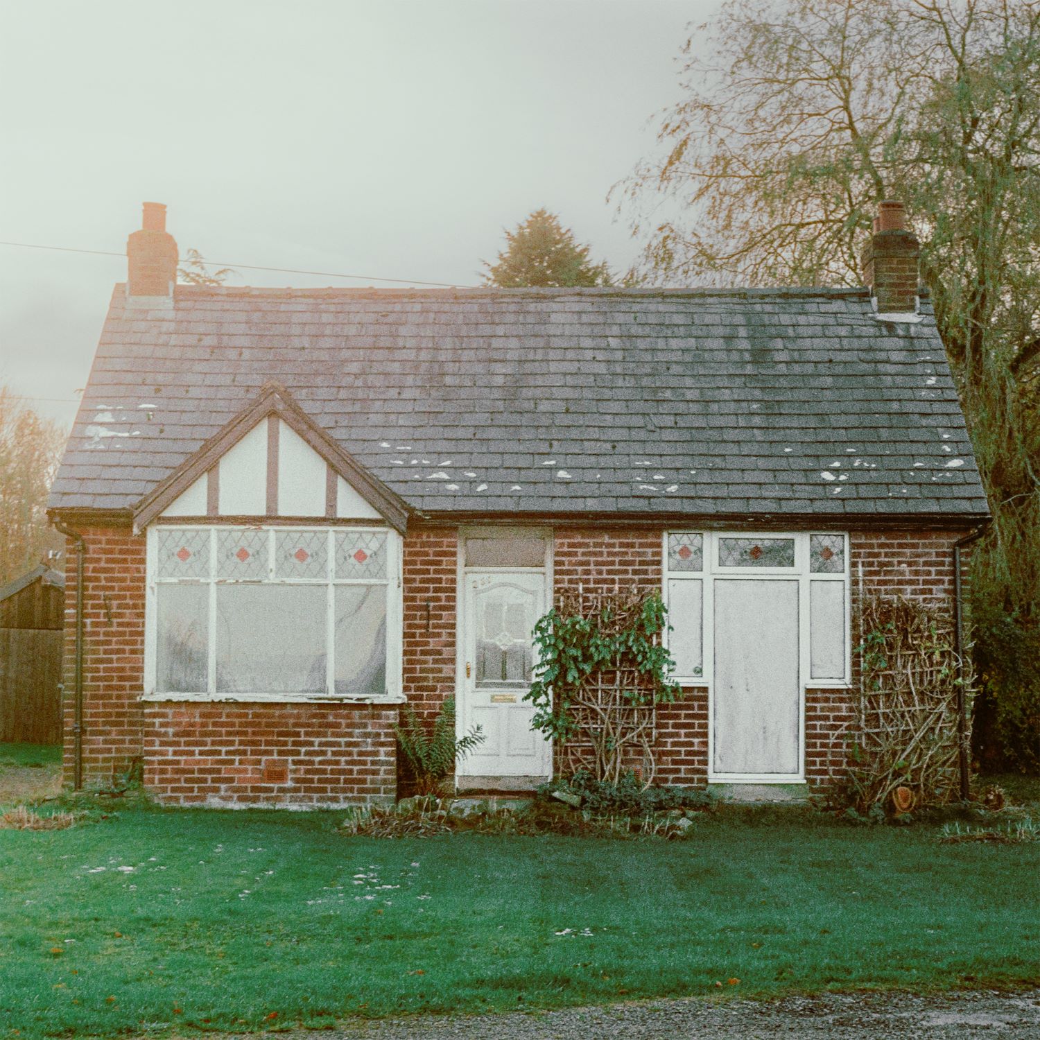 Every House We Built - Exploring Birdsong