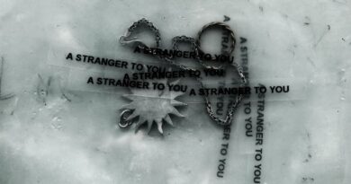 ALBUM REVIEW: A Stranger To You – Loathe
