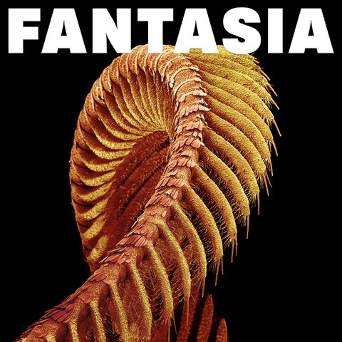 Fantasia - SLIFT