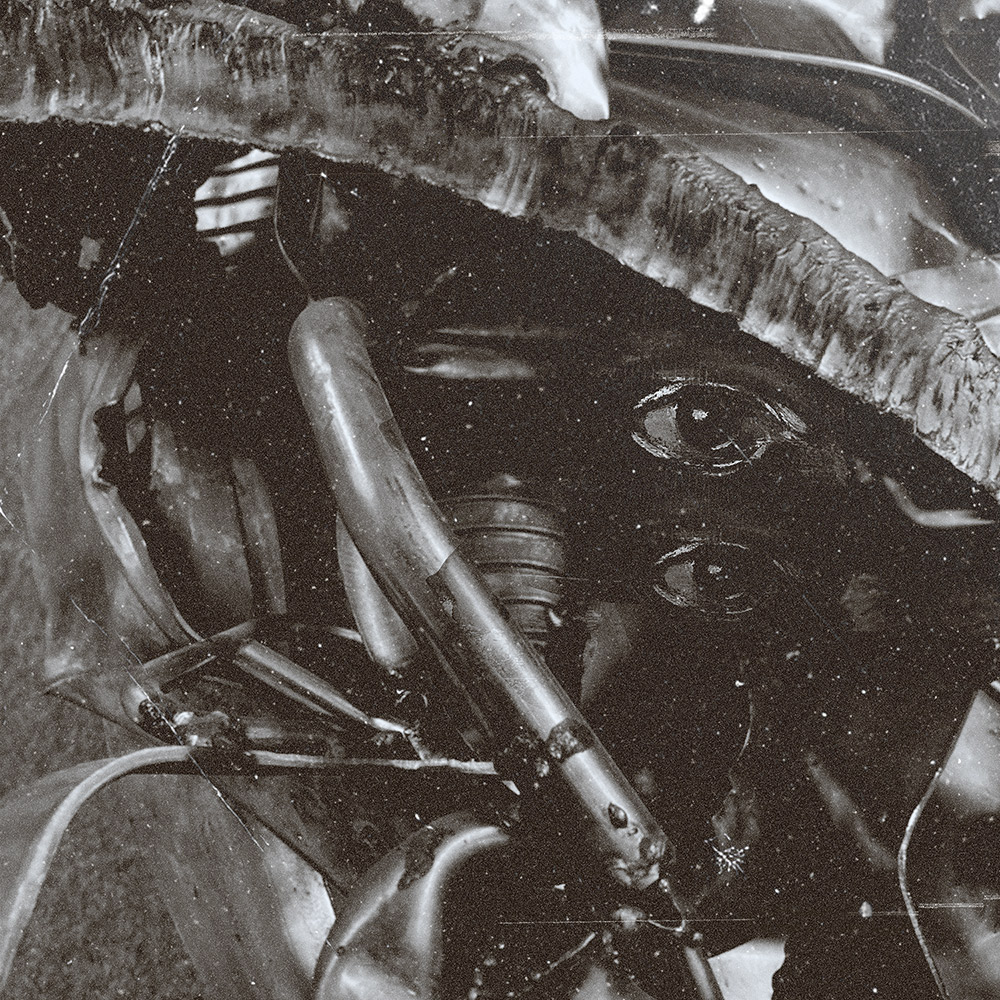 Nowhere Speaks - Emptiness