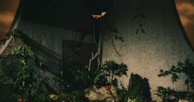 The Volume Series - The Plot In You