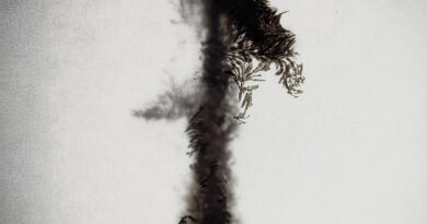 ALBUM REVIEW: There Will Come Soft Rains – VLMV