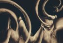 ALBUM REVIEW: dissolution – Siamese
