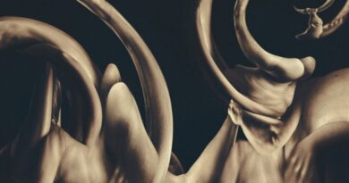 ALBUM REVIEW: dissolution – Siamese