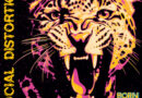 Born To Kill - Social Distortion
