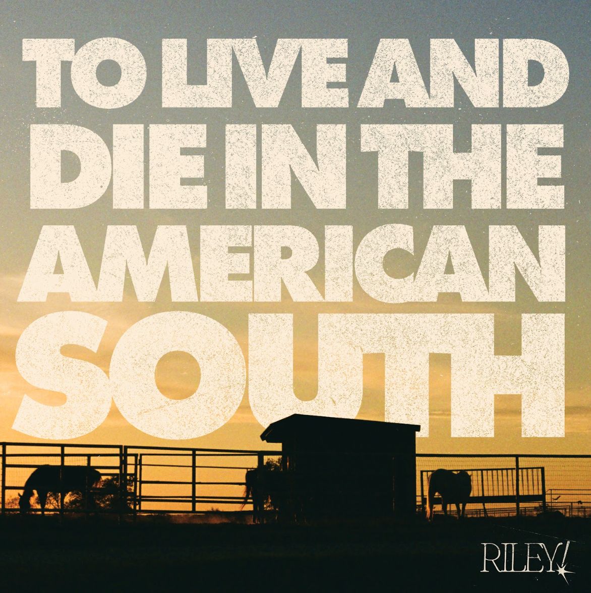 To Live And Die In The American South - RILEY!