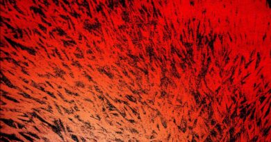 ALBUM REVIEW: A Beautiful World To Lose – Corella