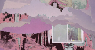 ALBUM REVIEW: Public Luxury – Downtown Boys