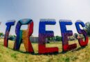FESTIVAL REVIEW: 2000trees Festival 2026