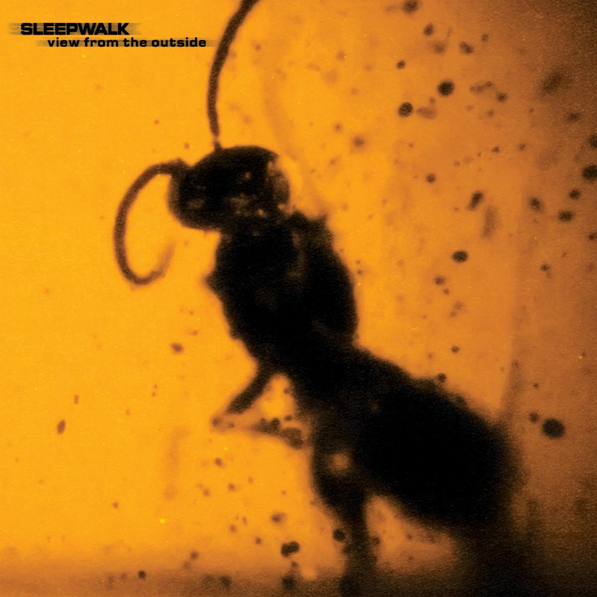 View From The Outside - Sleepwalk