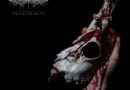 ALBUM REVIEW: Echoes Of A Fallen Land – Mental Cruelty