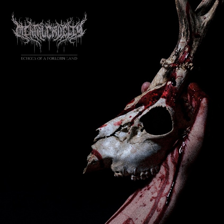 Echoes Of A Forlorn Land - Mental Cruelty