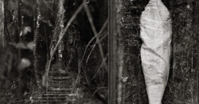 Estuary - Wolves In The Throne Room